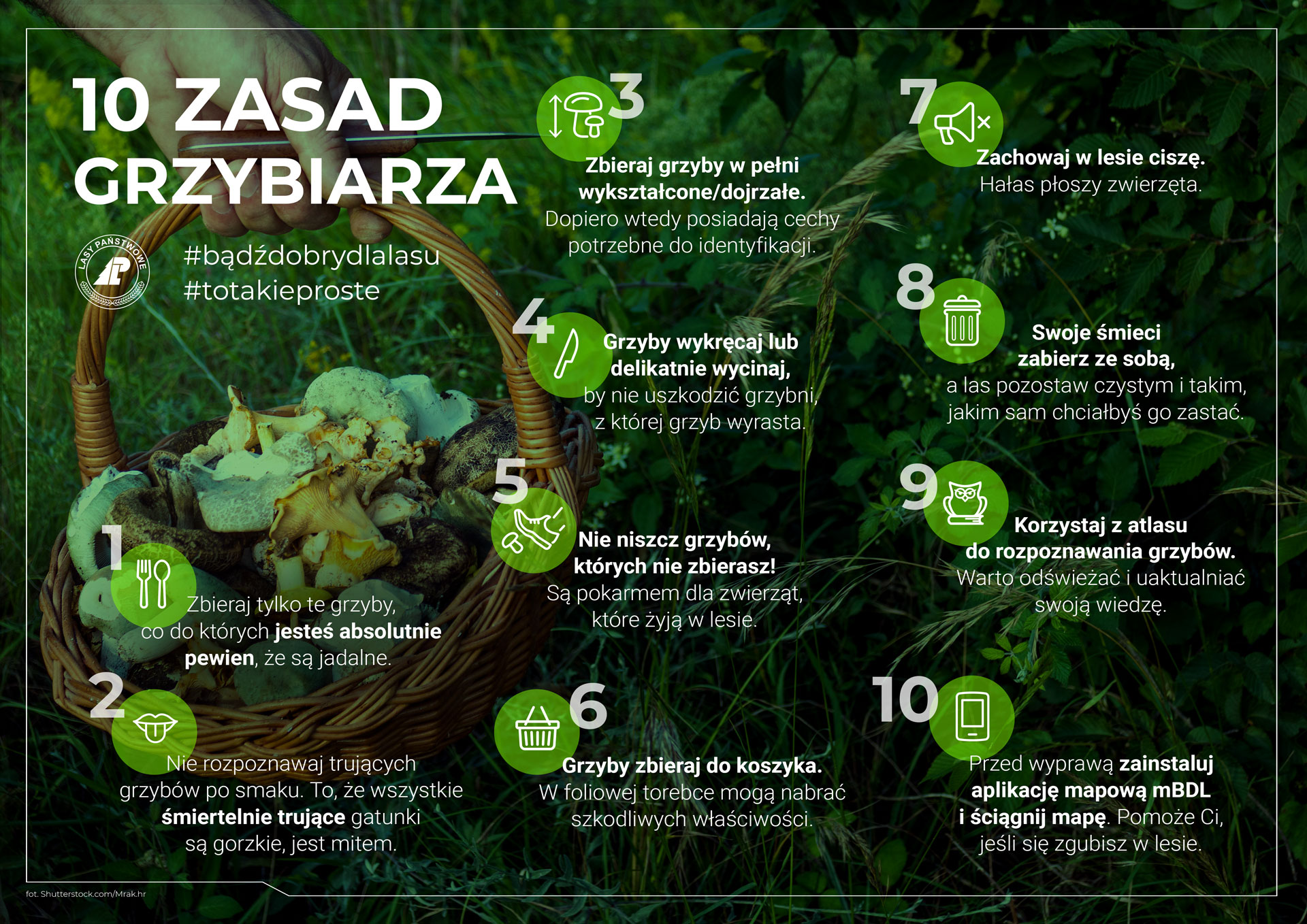 Na infografice przedstawione są zasady grzybiarza