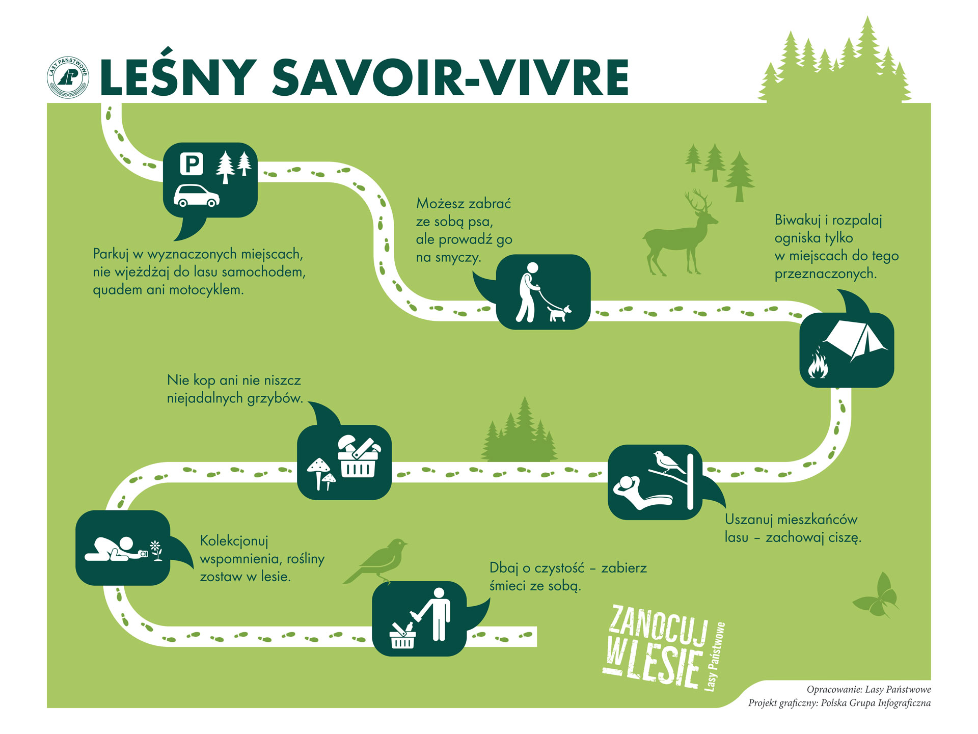 Infografika przedstawiająca dobre zasady zachowania w lesie