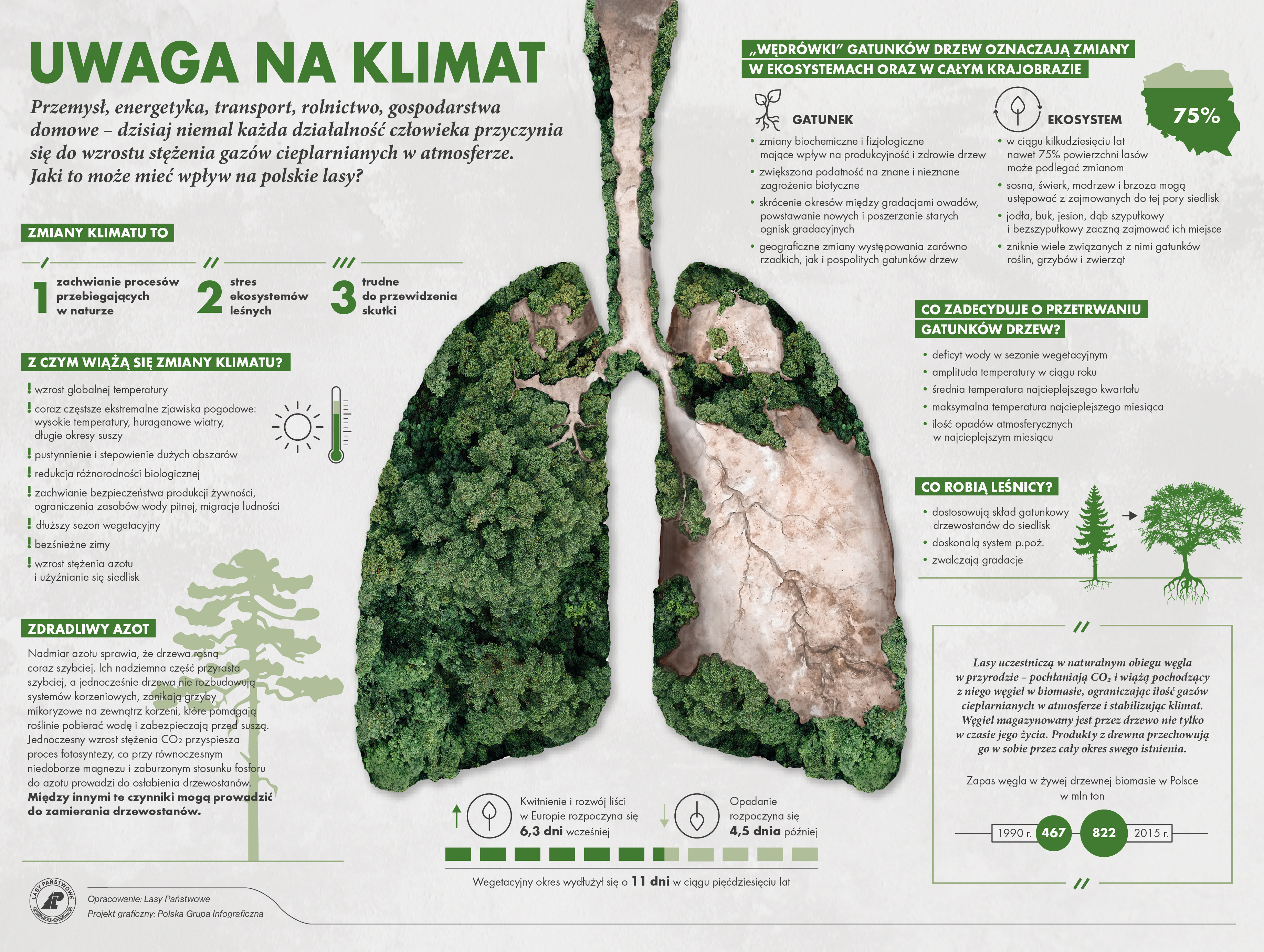 Infografika przedstawiająca wpływ lasów na klimat