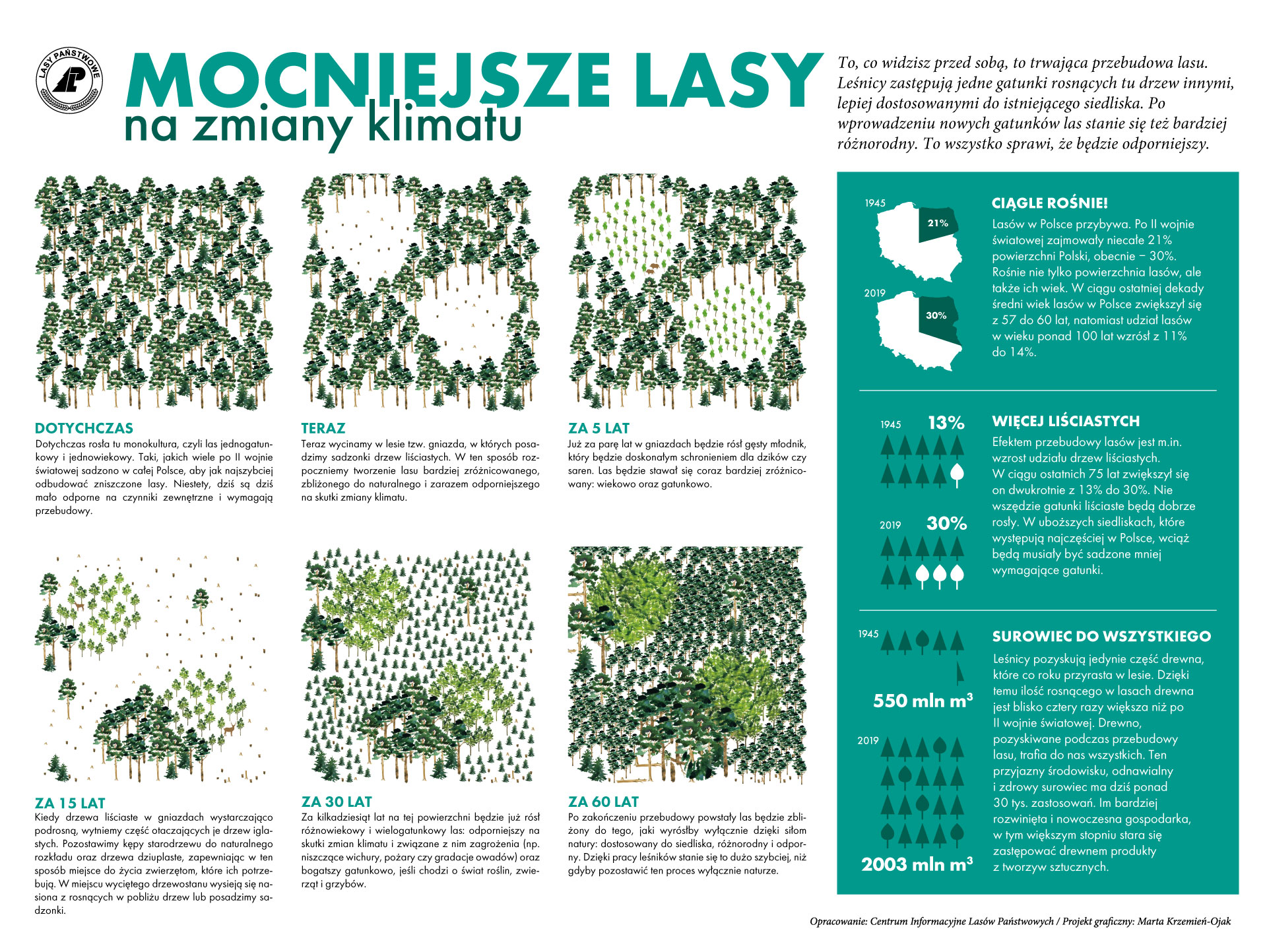 Infografika przedstawiająca wpływ lasów na zmiany klimatu