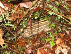 fot. Mirosław Czapracki