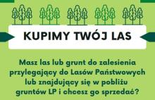 Oferta skupu lasów i gruntów do zalesienia