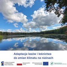 Projekt adaptacji do zmian klimatu na terenach nizinnych - kontynuacja